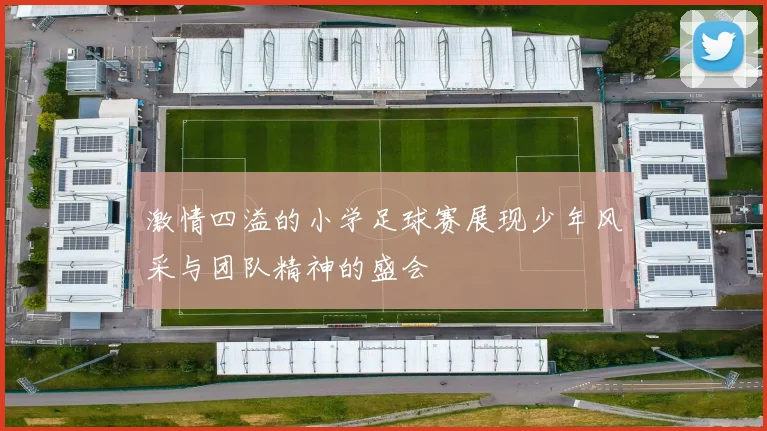 激情四溢的小学足球赛展现少年风采与团队精神的盛会